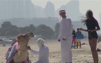 Στο Ντουμπάι το καμάκι γίνεται με καμήλα