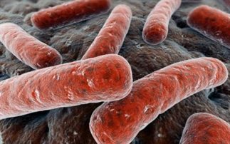 Η φυματίωση εξακολουθεί να σκοτώνει – Υγεία