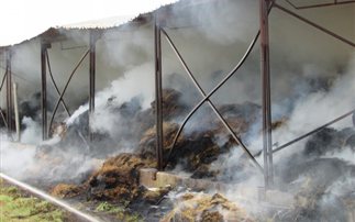 Πυρκαγιά σε κτηνοτροφική μονάδα στην Κοζάνη
