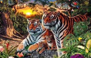 Εσείς μπορείτε να βρείτε πόσες τίγρεις υπάρχουν στη φωτογραφία..;