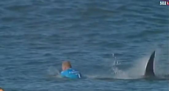 Επίθεση από καρχαρία δέχθηκε  σέρφερ κατά τη διάρκεια αγώνα (Video) – ΣΟΚ