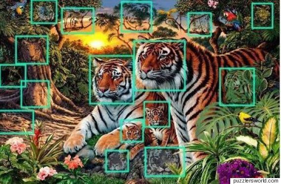 Πάτε στοίχημα ότι δε μπορείτε να βρείτε πόσες τίγρεις υπάρχουν στη φωτογραφία..;