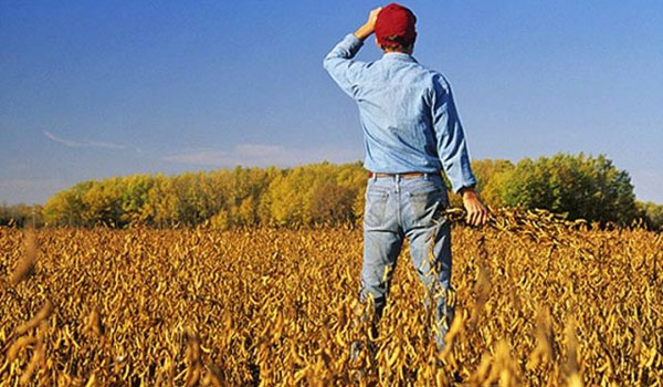 Δωρεάν σπόροι σε παραγωγούς οπωροκηπευτικών – Ποίοι δικαιούνται