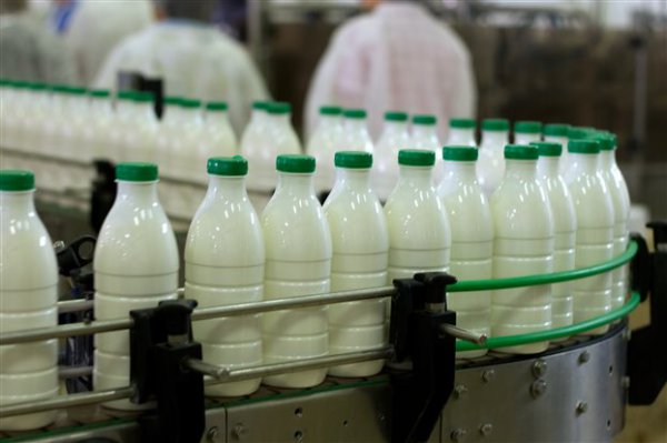 Πλήρες γάλα vs γάλα με χαμηλά λιπαρά: Ποιο είναι πιο ωφέλιμο για την υγεία