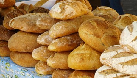 Θεσσαλονίκη: Αρτοποιοί συγκεντρώνουν ψωμιά για τους πρόσφυγες στην Ειδομένη