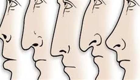 Τι αποκαλύπτει το σχήμα της μύτης σας για την προσωπικότητά σας; (photos)