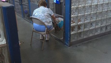 Γυναίκα διαβάζει σε σκύλους στα καταφύγια για να μην αισθάνονται μόνοι!