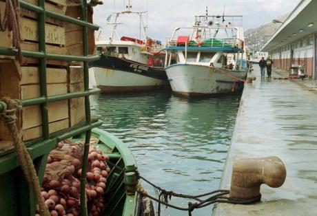 Πάτρα: Κατασχέθηκαν 104 κιλά ψάρια στην Ιχθυόσκαλα