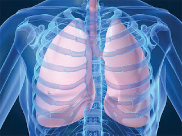 Τι είναι η πνευμονία, ποιες οι αιτίες και ποια τα συμπτώματα;