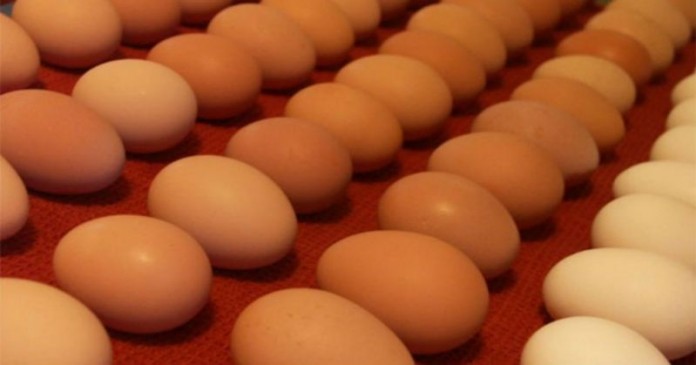 Τι θα συμβεί αν βάλετε ένα αυγό στο φούρνο μικροκυμάτων;