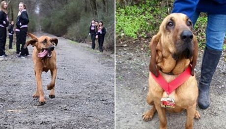 ΓΝΩΡΙΣΤΕ την σκυλίτσα που ζήλεψε τη φήμη των μαραθωνοδρόμων! (photos)