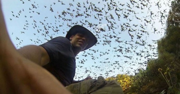 Εκατομμύρια νυχτερίδες εγκαταλείπουν μια σπηλιά ταυτόχρονα (Video)