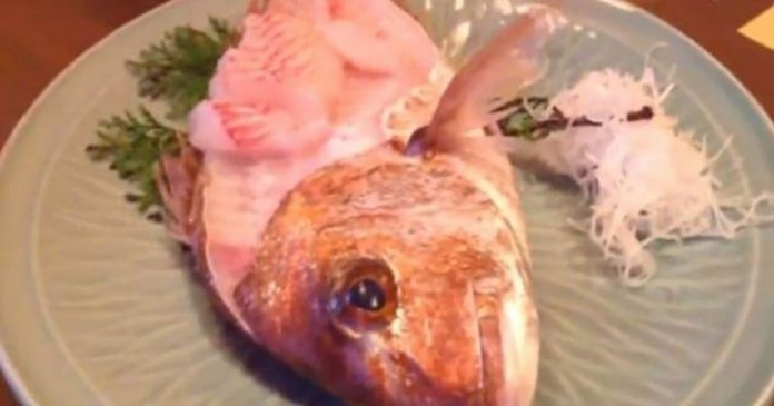 Μισοφαγωμένο ψάρι ζωντανεύει και φεύγει από το πιάτο!