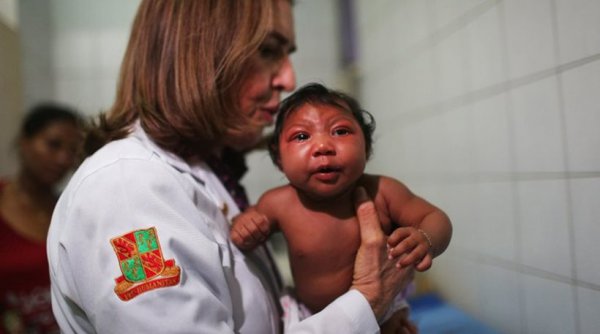 Φαρμακευτική εταιρία ανακοίνωσε πως ετοιμάζει εμβόλιο για τον ιό Ζίκα