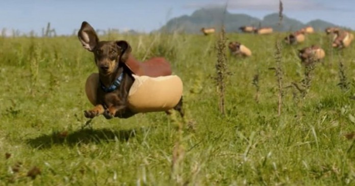 Η Heinz επιστρατεύει χαριτωμένα σκυλάκια για την πολύ έξυπνη διαφήμισή της.
