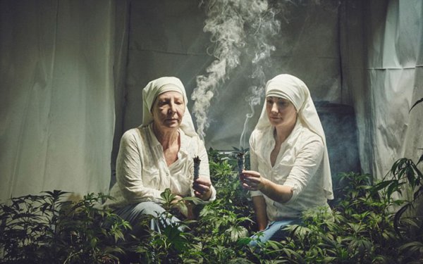 Οι «καλόγριες» που καλλιεργούν μαριχουάνα (ΦΩΤΟ)