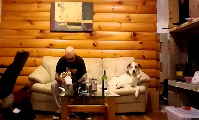 Αυτός ο σκύλος έχει την πιο ξεκαρδιστική αντίδραση όταν τρώει το αφεντικό του! [Βίντεο]