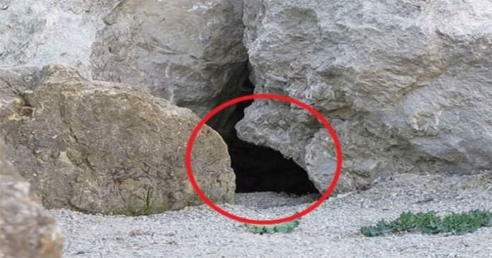 Τοποθέτησαν μια κάμερα έξω από αυτή την σπηλιά και δείτε τι κατέγραψαν! [Βίντεο]