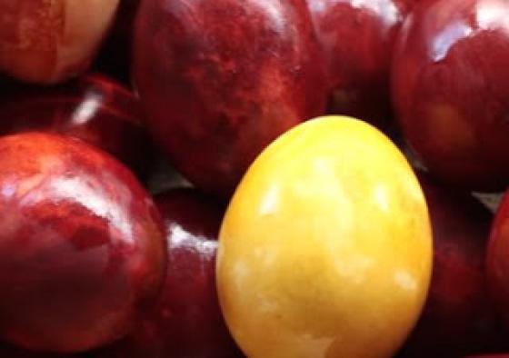 Βάψτε τα αυγά σας με… φλούδες από κρεμμύδια! [video]