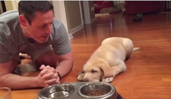 Αυτό το  σκυλάκι  κάνει την προσευχή του πριν το φαγητό! Δείτε το απίστευτο βίντεο