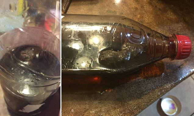 Σοκαρισμένη Οικογένεια Ανακαλύπτει Νεκρό Ποντικό να Επιπλέει μέσα σε Μπουκάλι Αναψυκτικού