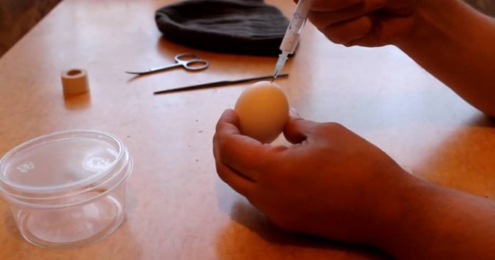 Ρώσος κάνει ένεση σε ένα αβγό με το… σπέpμα του και το αποτέλεσμα είναι ΕΦΙΑΛΤΙΚΟ! [βίντεο]