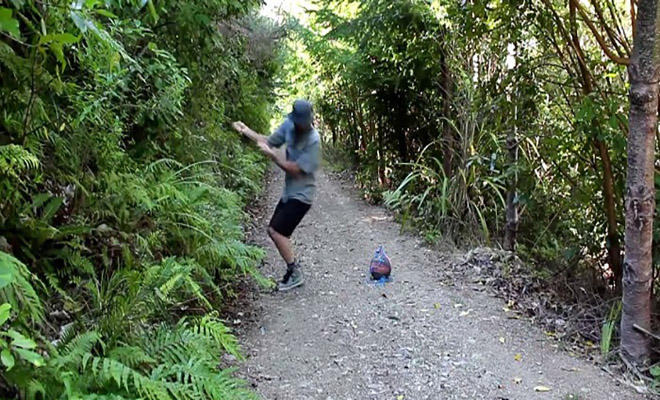 Έβαλε μια μπάλα και μια κάμερα στο δάσος και δείτε πιο ζώο πήγε κι έπαιξε! [Βίντεο]