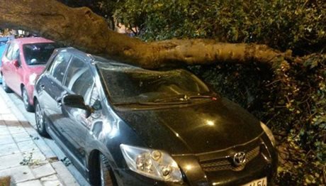 Θεσσαλονίκη: Δέντρο έπεσε πάνω σε Ι.Χ. αυτοκίνητο