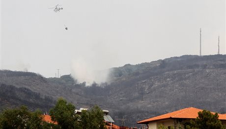 Χαλκιδική ΤΩΡΑ: Ξέσπασε φωτιά στο Ν. Μαρμαρά