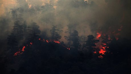 Κύπρος: Αναζωπυρώθηκε η πυρκαγιά σε τρία μέτωπα!