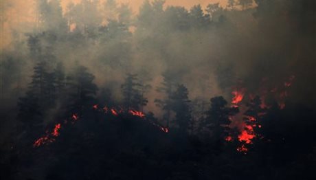Κύπρος: Υπό έλεγχο έπειτα από πέντε ημέρες η καταστροφική πυρκαγιά