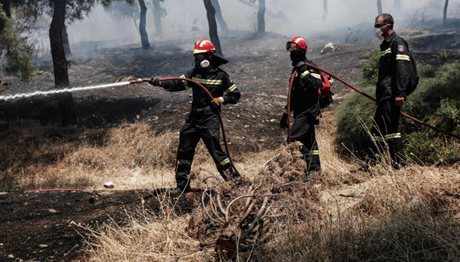 Χαλκιδική: «Καμπανάκι» για κίνδυνο πυρκαγιάς αύριο
