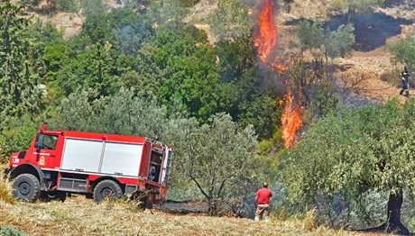 Νεκρός δασοπυροσβέστης σε μεγάλη πυρκαγιά στην Κύπρο