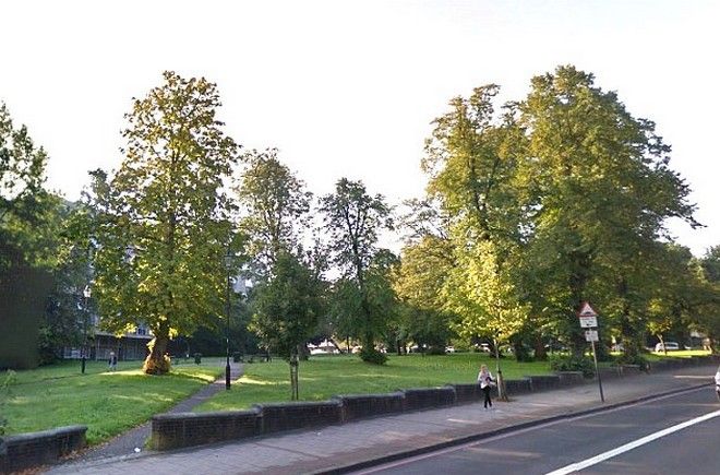 Κόβεται το σeξ; 79χρονη συνελήφθη να συνουσιάζεται με τον εραστή της σε πάρκο