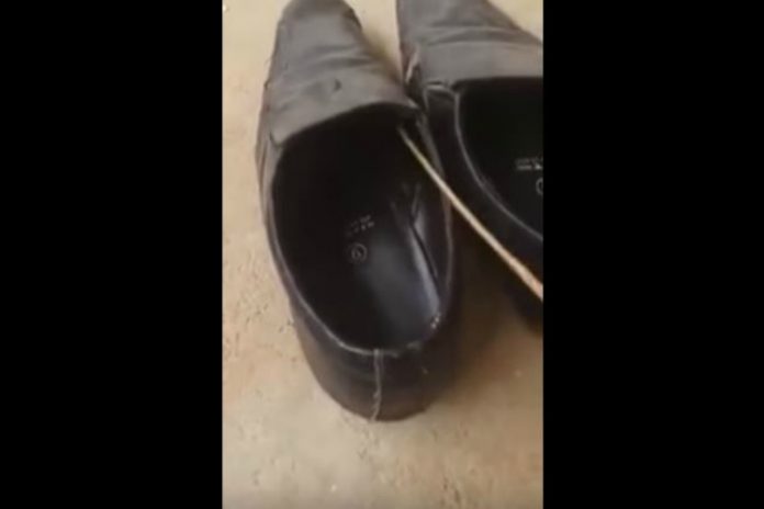 Ένας «δηλητηριώδης» λόγος για να ελέγχεις τα παπούτσια σου πριν τα φορέσεις! (video)