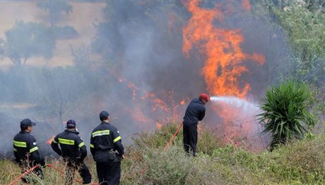 Χαλκιδική: Υψηλός και σήμερα ο κίνδυνος για πυρκαγιά