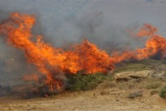 Φωτιά στο δρόμο προς Χαλκιδική