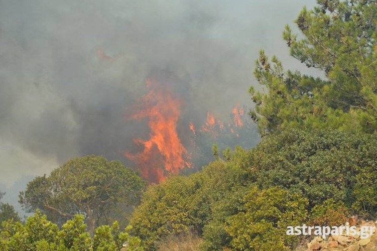 Ανεξέλεγκτη η πυρκαγιά στη Χίο κάνει στάχτη χιλιάδες μαστιχόδεντρα