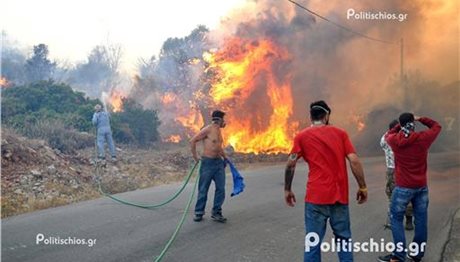 Χίος: Τεράστιες οι καταστροφές στα μαστιχοχώρια από την πυρκαγιά