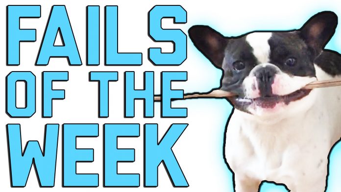 Τα πιο ξεκαρδιστικά στιγμιότυπα της περασμένης εβδομάδας! (video)