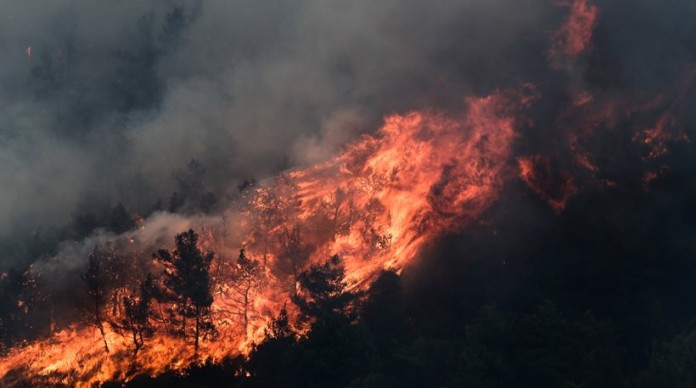 Κρήτη: Πυρκαγιά στην Ιεράπετρα