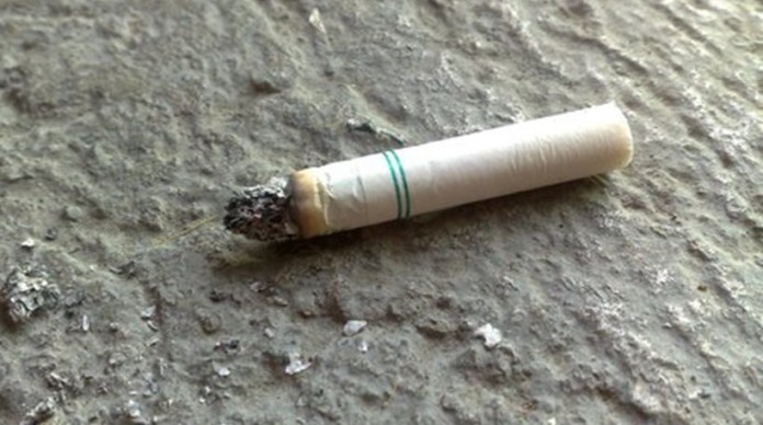 Ασυνείδητοι έβαλαν φωτιά στη Χαλκιδική με γόπες τσιγάρων