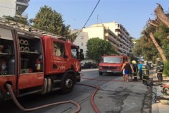 Θεσσαλονίκη: Νεκρά δύο σκυλιά από φωτιά σε διαμέρισμα