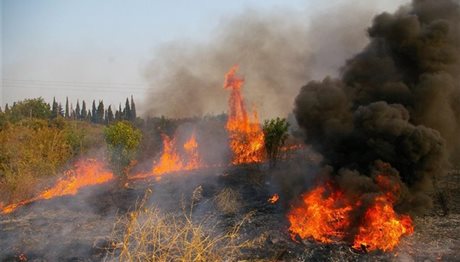 Ξέσπασε πυρκαγιά στους Δουκάδες της Κέρκυρας