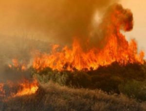 Συναγερμός: Φωτιά καίει μεγάλο νησί της χώρας!