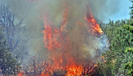 Ξέσπασε πυρκαγιά στην Κατούνα Αιτωλοακαρνανίας