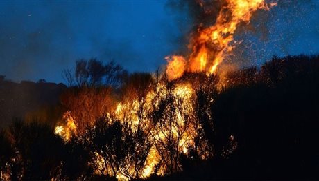Σε ύφεση η πυρκαγιά στη Χίο