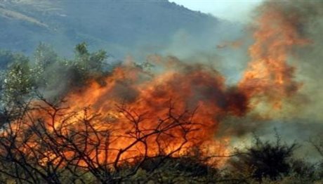 Υπό μερικό έλεγχο οι πυρκαγιές στην Κέρκυρα