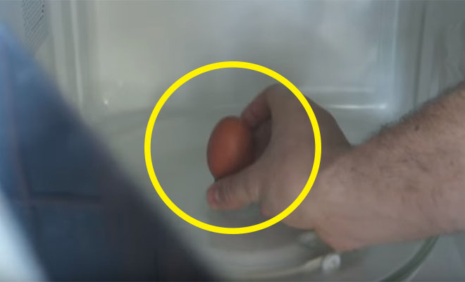 ΑΠΙΣΤΕΥΤΟ: Τι θα συμβεί αν βάλετε ένα αυγό στο φούρνο μικροκυμάτων; [Βίντεο]