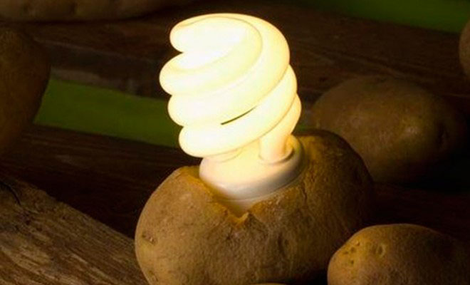 Δεν είχαμε Ιδέα! Δείτε ΠΩΣ με μία μόνο Πατάτα θα έχετε ΔΩΡΕΑΝ Φως στο δωμάτιο σας, για πάνω από 1 Μήνα! [Βίντεο]